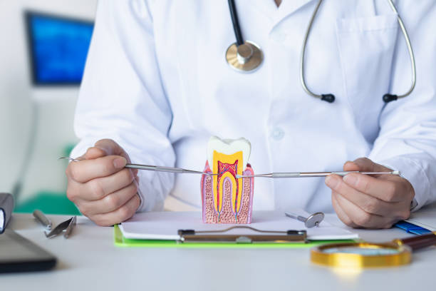 Best Emergency Orthodontic Repairs in Marion, AL